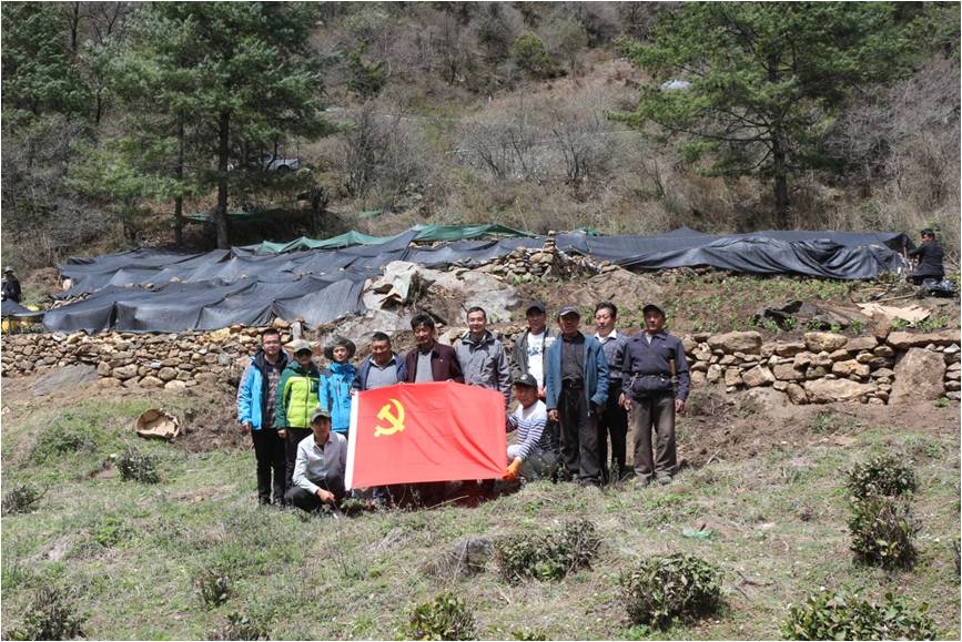 主站|大发app在线入口党委将党建活动开展到青藏高原